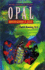 Opal, Identification and Value