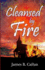 Cleansed By Fire: A Father Frank Mystery