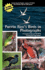 Puerto Rico's Birds in Photographs: a Complete Guide Including the Virgin Islands