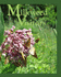 Milkweed Visitors