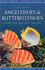 A Guide to Angelfishes and Butterflyfishes