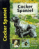 Cocker Spaniel (Pet Love)