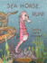 Sea Horse, Run!