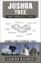 Joshua Tree: the Complete Guide: Joshua Tree National Park