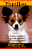Memoirs of a Papillon: the Canine Guide to Living With Humans Without Going Mad