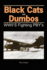 Black Cats and Dumbos: Ww II's Fighting Pbys