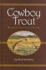 Cowboy Trout: Western Fly Fishing as If It Matters