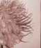 Fourier Series