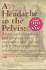 A Headache in the Pelvis a New Understanding and Treatment for Prostatitis and Chronic Pelvic Pain Syndromes, Second Edition