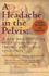 A Headache in the Pelvis, a New, Revised, Expanded and Updated 6th Edition: a New Understanding and Treatment for Chronic Pelvic Pain Syndromes