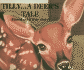 Tilly...a Deer's Tale
