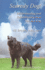 Scaredy Dog! : Understanding & Rehabilitating Your Reactive Dog