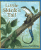 Little Skink's Tail (Arbordale Collection)