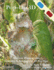 Pop-Up 3d, Discover Phantograms, Fantastic & Fun Natural 3d Pop-Ups