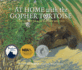 At Home With the Gopher Tortoise: the Story of a Keystone Species