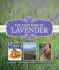 The Maui Book of Lavender