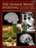 The Human Brain Evolving: Paleoneurological Studies in Honor of Ralph L. Holloway (Stone Age Institute Publication)