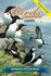 Birds of Newfoundland: Field Guide
