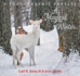A Magical Winter: a Photographic Fantasy