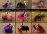 Bullfight: The Pas de Deux