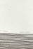 Avenue (Flood Editions)