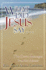 What Did Jesus Say: the Seven Messages From the Master