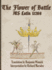 The Flower of Battle: Ms Latin 11269