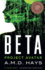 Beta Project Avatar