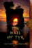The Hall of Tyr: Book Four of the Circle of Ceridwen Saga