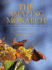 Amazing Monarch: The Secret Wintering Grounds of an Endangered Butterfly