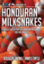 The Guide to Honduran Milksnakes: a Collective History of Honduran Milksnakes for the Hobbyist