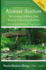 Almost Autism: Recovering Children From Sensory Processing Disorder: a Reference for Parents and Practitioners