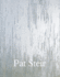 Pat Steir