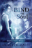 Bind the Soul (Steel & Stone)