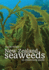 New Zealand Seaweeds: An Illustrated Guide