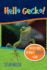 Hello Gecko!