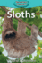 Sloths (Elementary Explorers)