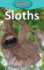 Sloths (2)