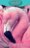 Flamingos (Elementary Explorers)
