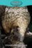Pangolins (8) (Elementary Explorers)