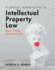 A Critical Introduction to Intellectual Property Law