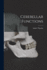 Cerebellar Functions