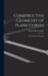 Constructive Geometry of Plane Curves: With Numerous Examples
