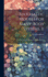 Stochastic Models for Many-body Systems. II: Finite Systems and Statistical Non-equilibrium
