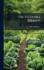 The Vegetable Garden
