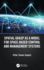 Spatial Grasp as a Model for Space-Based Control and Management Systems