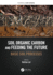 Soil Organic Carbon and Feeding the Future: Basic Soil Processes