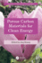 Porous Carbon Materials for Clean Energy