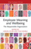 Employee Meaning and Wellbeing: The Responsible Organisation