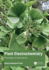 Plant Electrochemistry Physiology and Applications (Hb 2025)